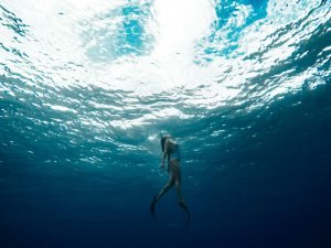 Las 5 mejores cámaras acuáticas sumergibles